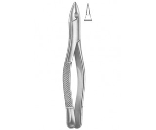 Extracting Forceps American pattern